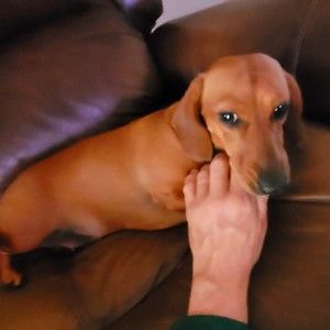 Meet your Posher, Anna